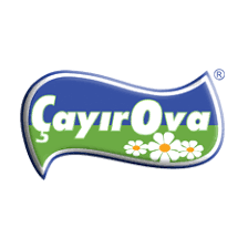 ÇayırOva